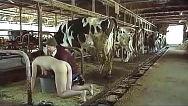 Milking the cow - pet slave fetish